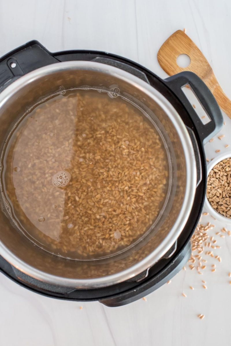 Farro and water added to an Instant Pot and ready to cook.